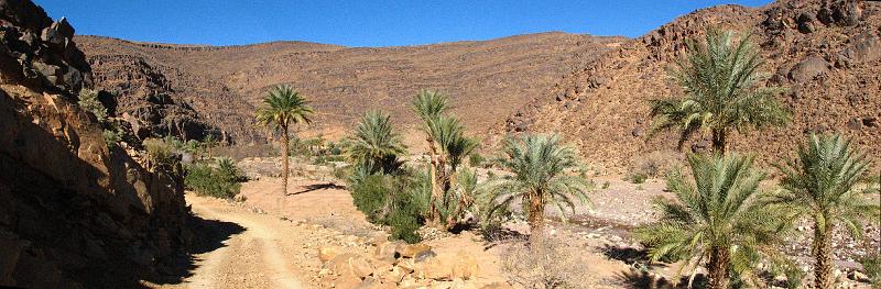 4e_jour 023-025_oasis_sarhro_2.jpg